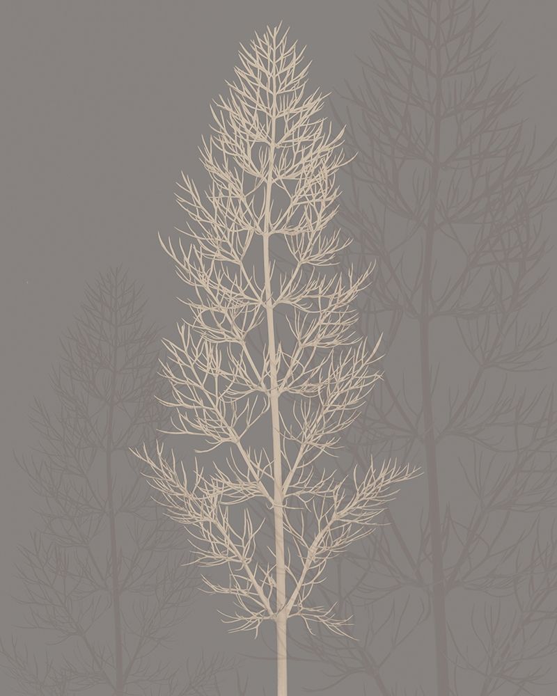 Stem Silhouette II art print by Ian Winstanley for $57.95 CAD