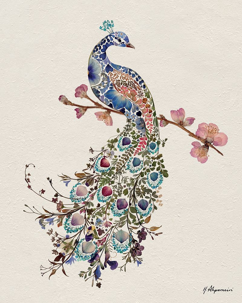 Peacock art print by Helen Ahpornsiri for $57.95 CAD