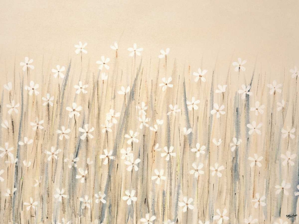 Field Of Starry White Flowers art print by Simon Fairless for $57.95 CAD
