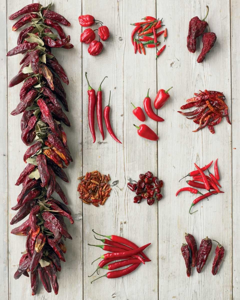 Picante art print by Howard Shooter for $57.95 CAD