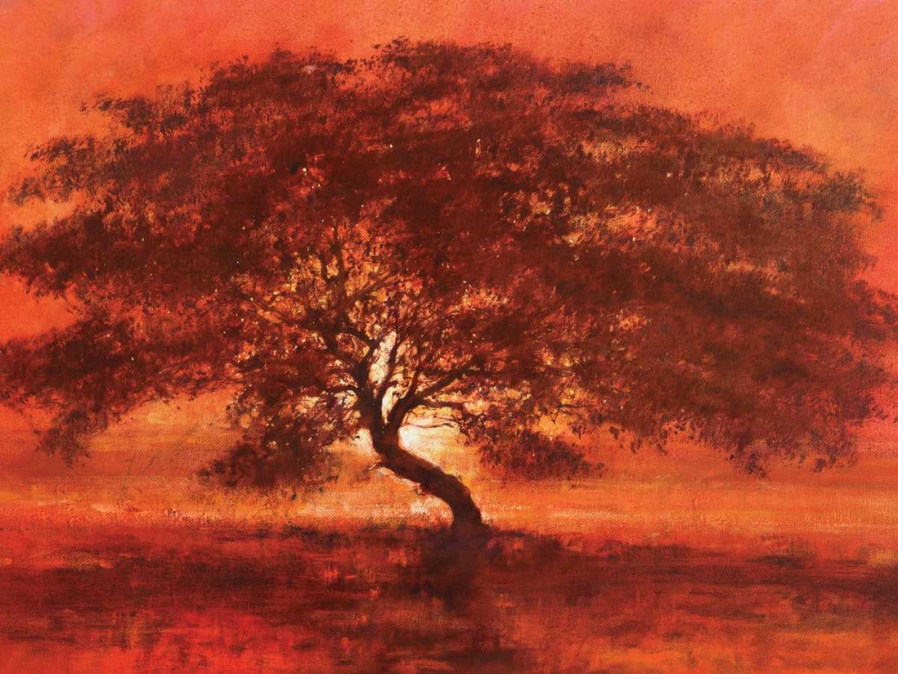 Desert Tree art print by Jonathan Sanders for $57.95 CAD