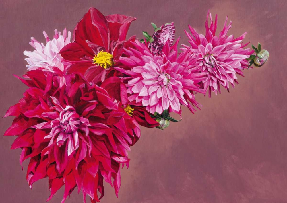 Haworth Fireworks art print by Sarah Caswell for $57.95 CAD