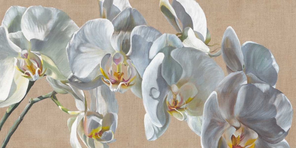 White Hats art print by Sarah Caswell for $57.95 CAD