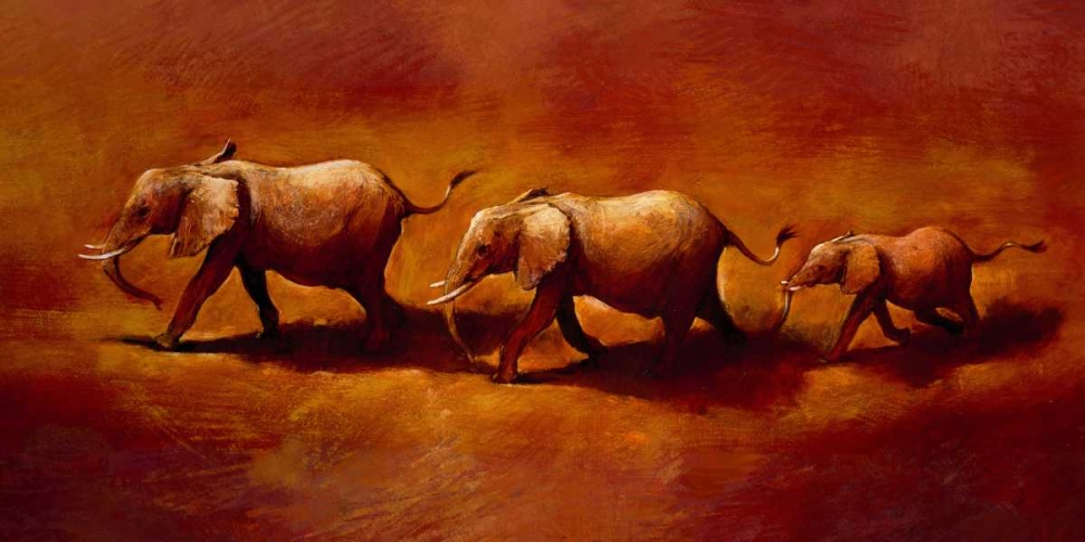 Three African Elephants art print by Jonathan Sanders for $57.95 CAD