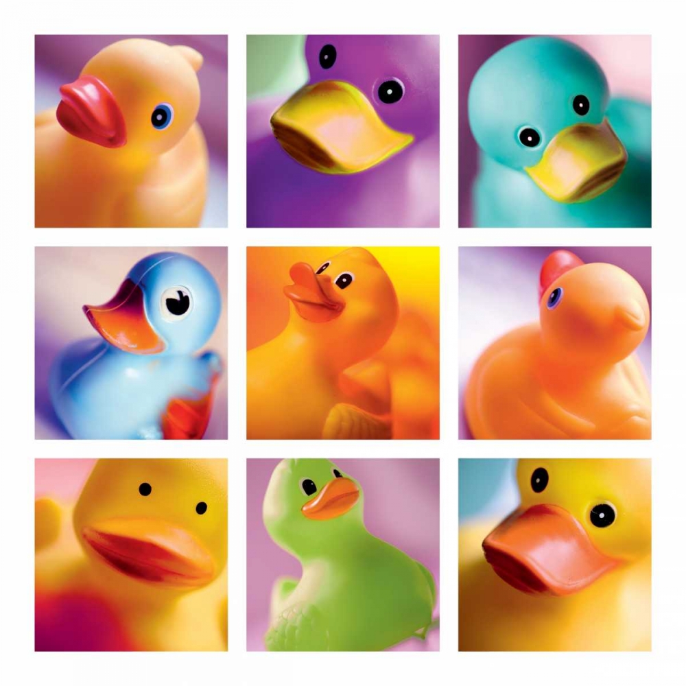 Duck Family Portraits art print by Ian Winstanley for $57.95 CAD