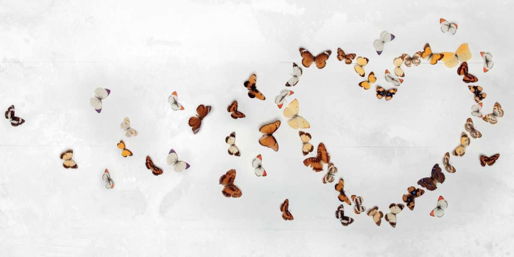 Butterfly Heart art print by Ian Winstanley for $57.95 CAD