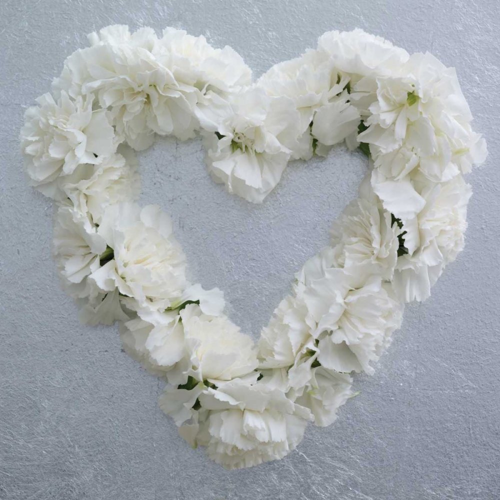 Carnation Heart art print by Howard Shooter for $57.95 CAD