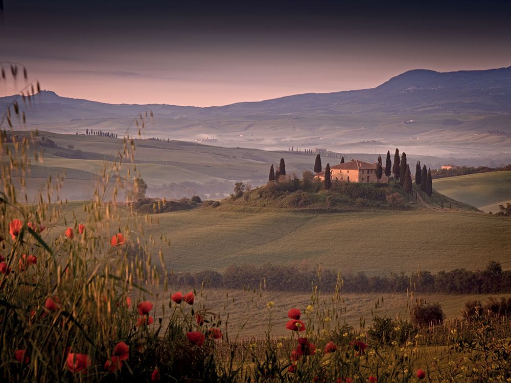 First Light, Tuscany art print by Rod Edwards for $57.95 CAD