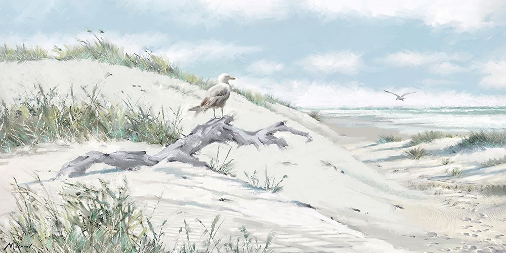 Driftwood art print by Richard Macneil for $57.95 CAD