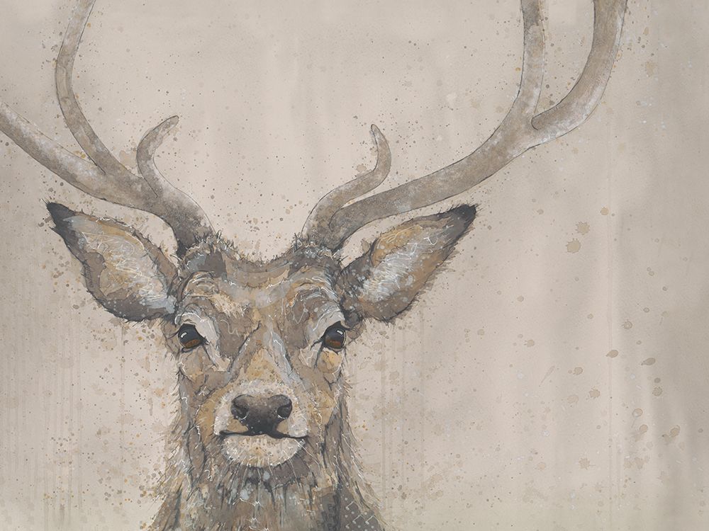 Serene Majesty art print by Bev Davies for $57.95 CAD