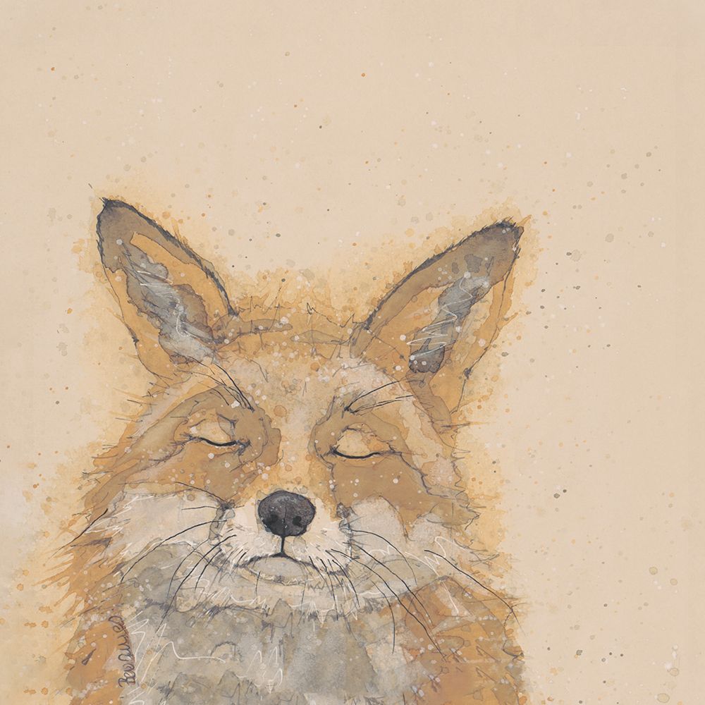 Zen Fox art print by Bev Davies for $57.95 CAD