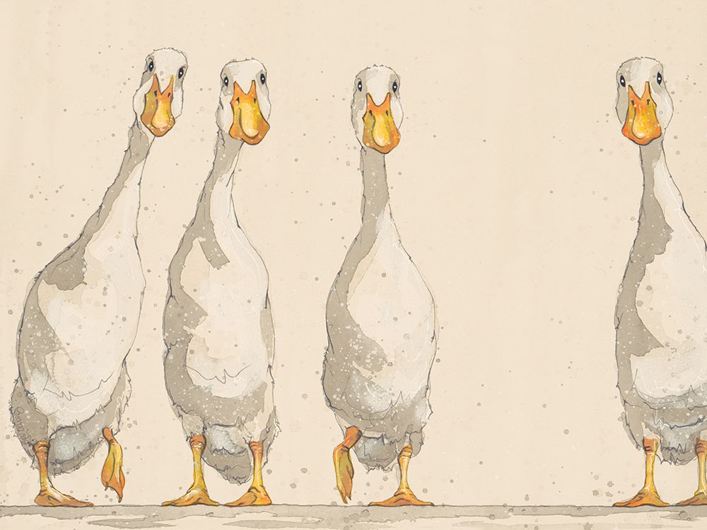 Nice Weather For Ducks art print by Bev Davies for $57.95 CAD