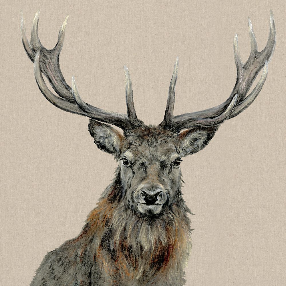 Percival art print by Jane Bannon for $57.95 CAD