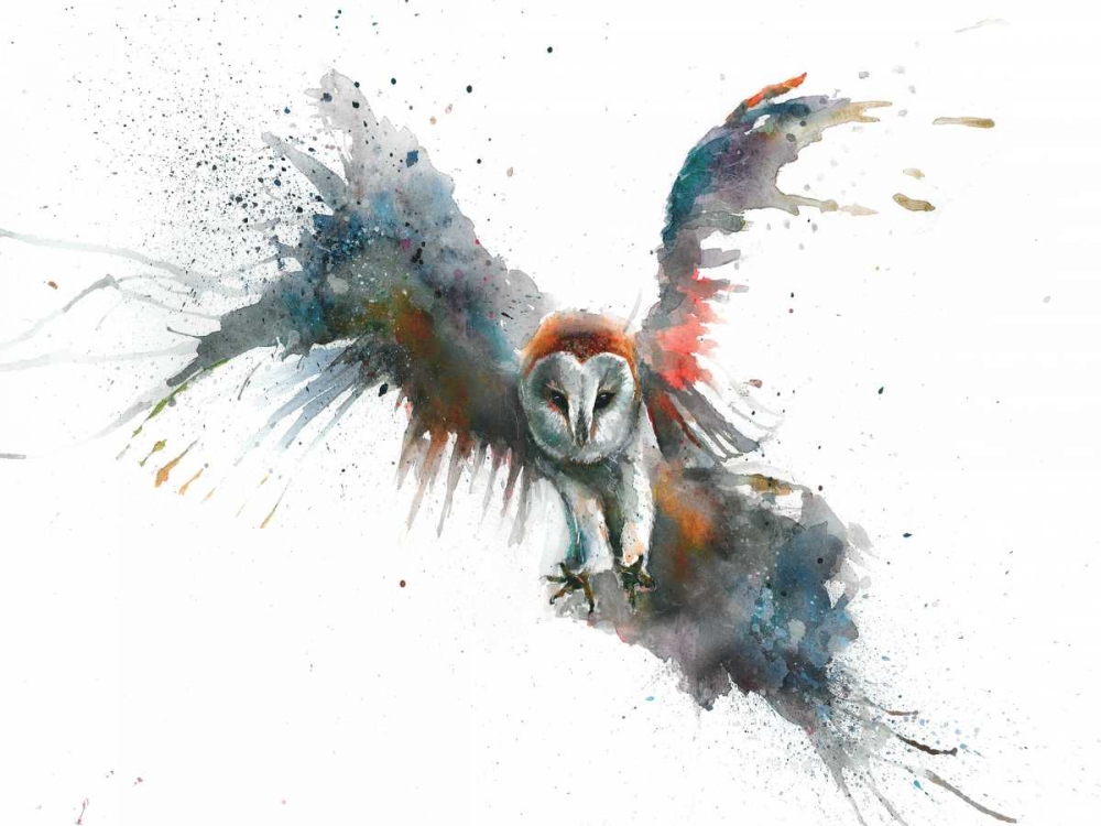 Eric In Flight art print by Sarah Stokes for $57.95 CAD