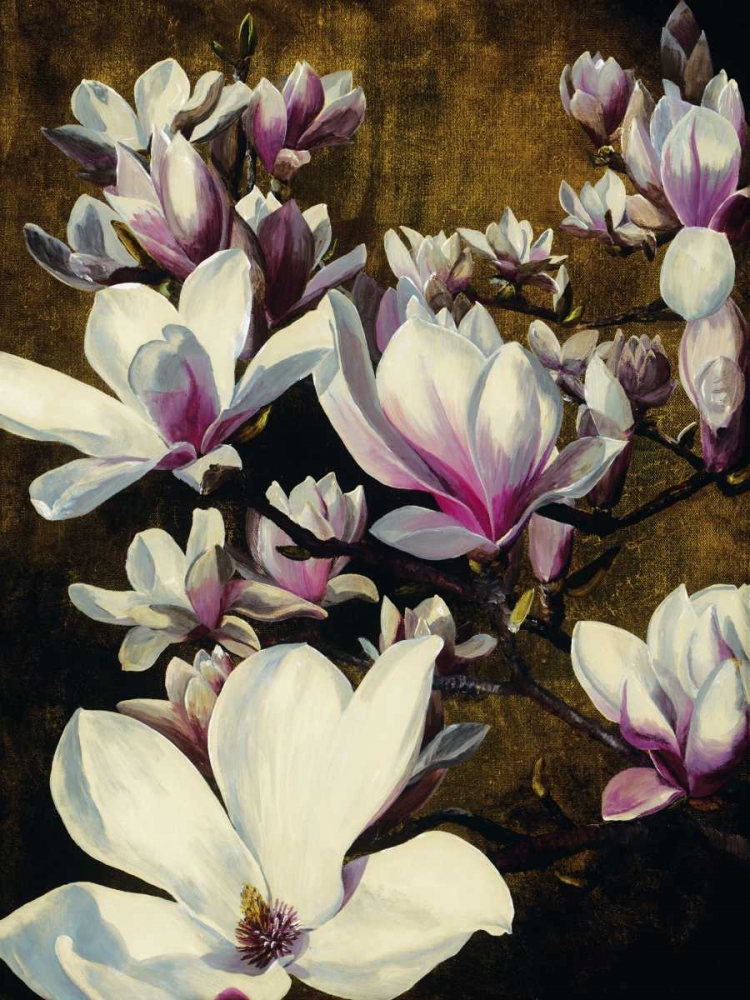 Magnolia Silk art print by Sarah Caswell for $57.95 CAD