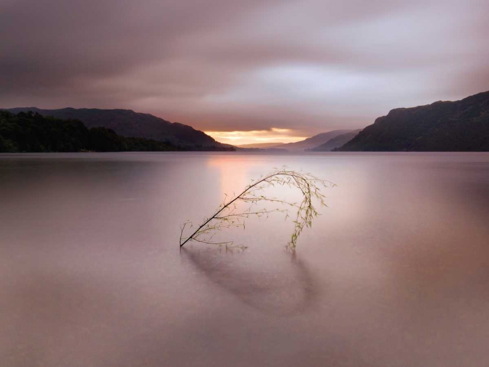 Tranquil Heart art print by Ian Winstanley for $57.95 CAD