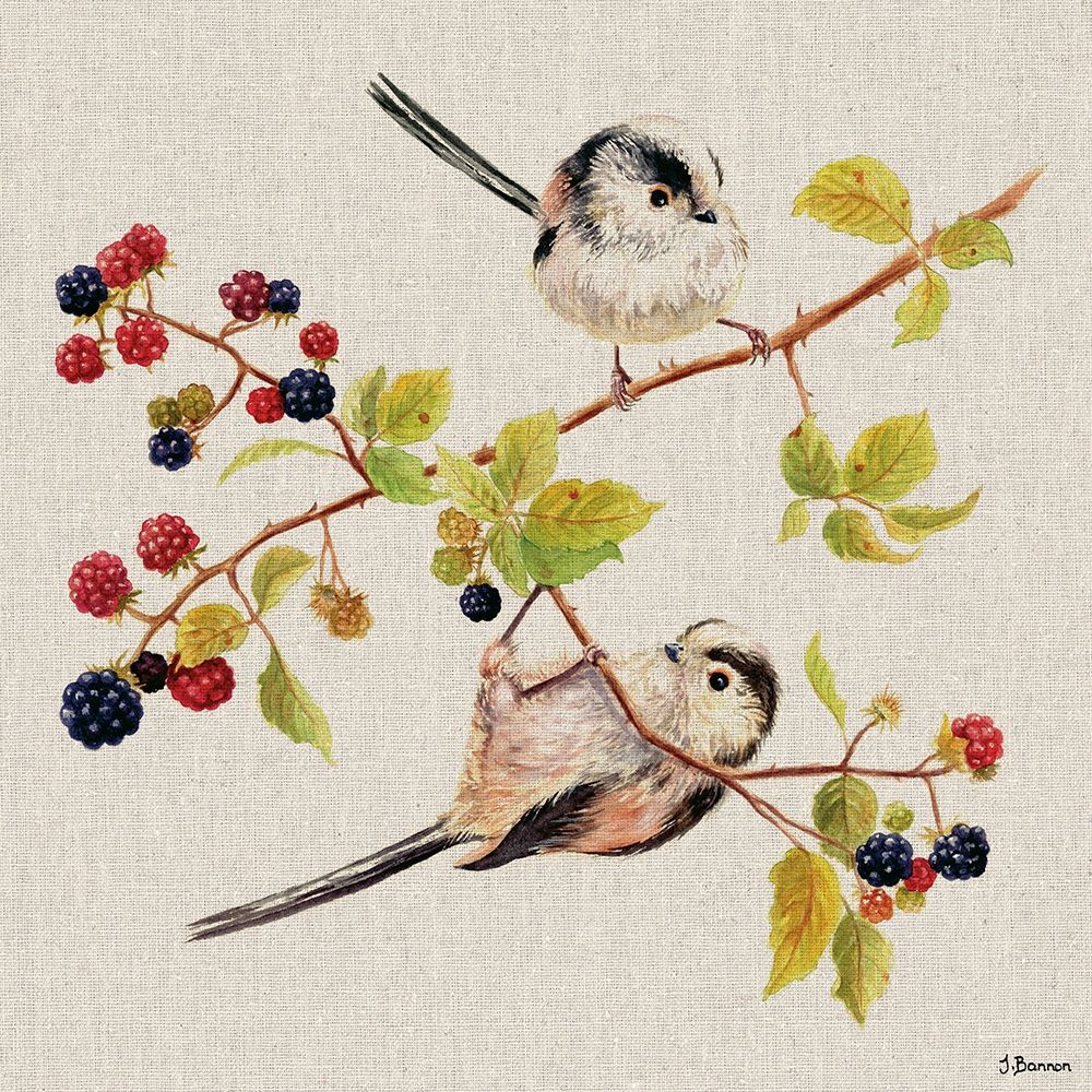Birdie Gymnastics art print by Jane Bannon for $57.95 CAD