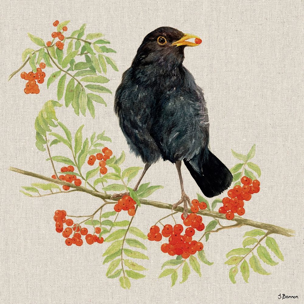 Boriss Berries art print by Jane Bannon for $57.95 CAD