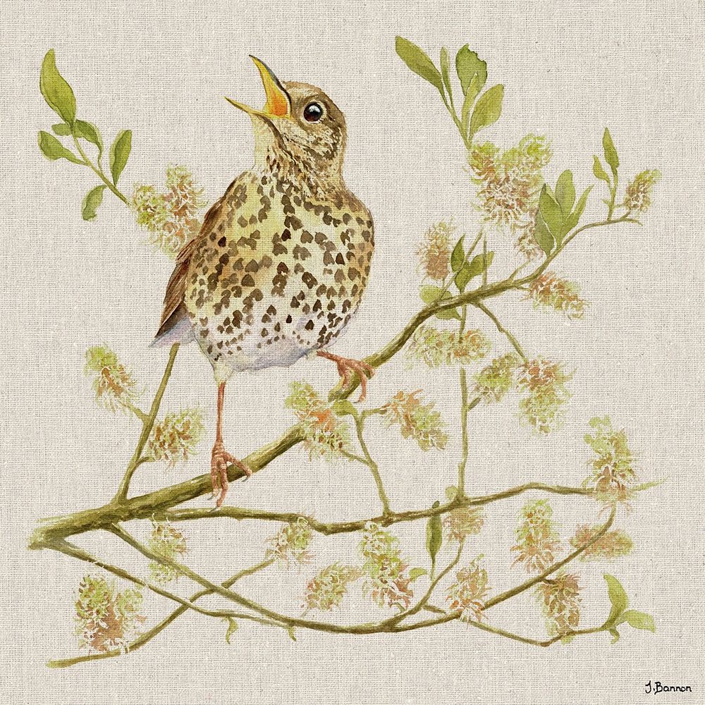 Dawn Chorus art print by Jane Bannon for $57.95 CAD