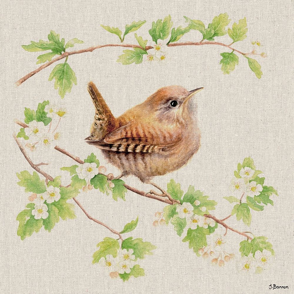 Jenny Wren art print by Jane Bannon for $57.95 CAD