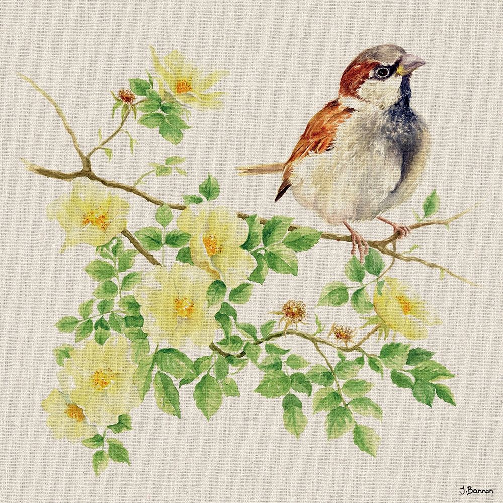 Sparky the Sparrow art print by Jane Bannon for $57.95 CAD