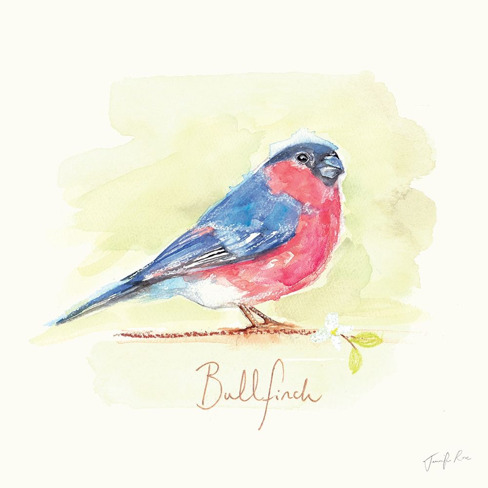 Bullfinch art print by Jennifer Rose for $57.95 CAD
