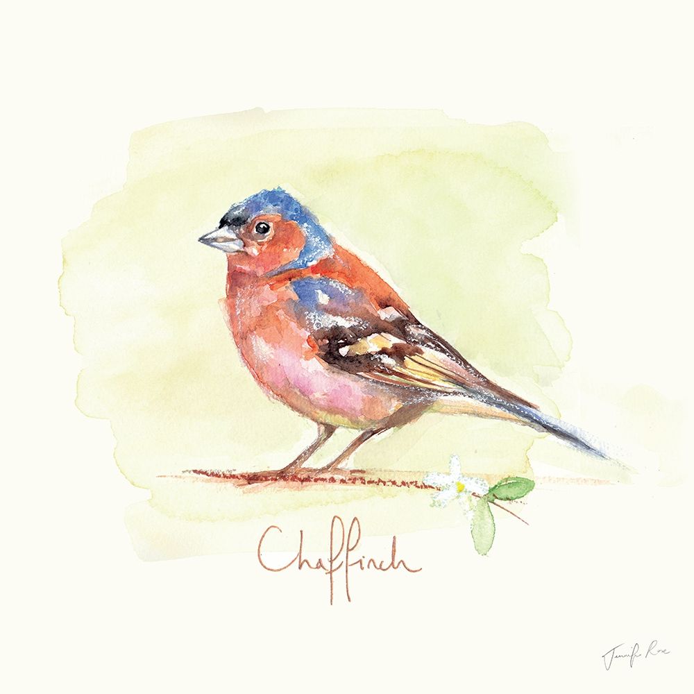 Chaffinch art print by Jennifer Rose for $57.95 CAD