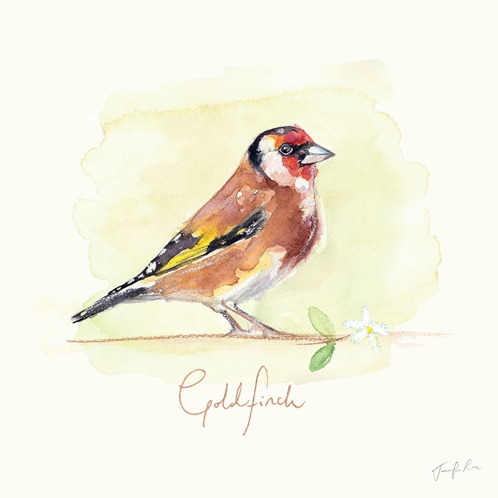 Goldfinch art print by Jennifer Rose for $57.95 CAD