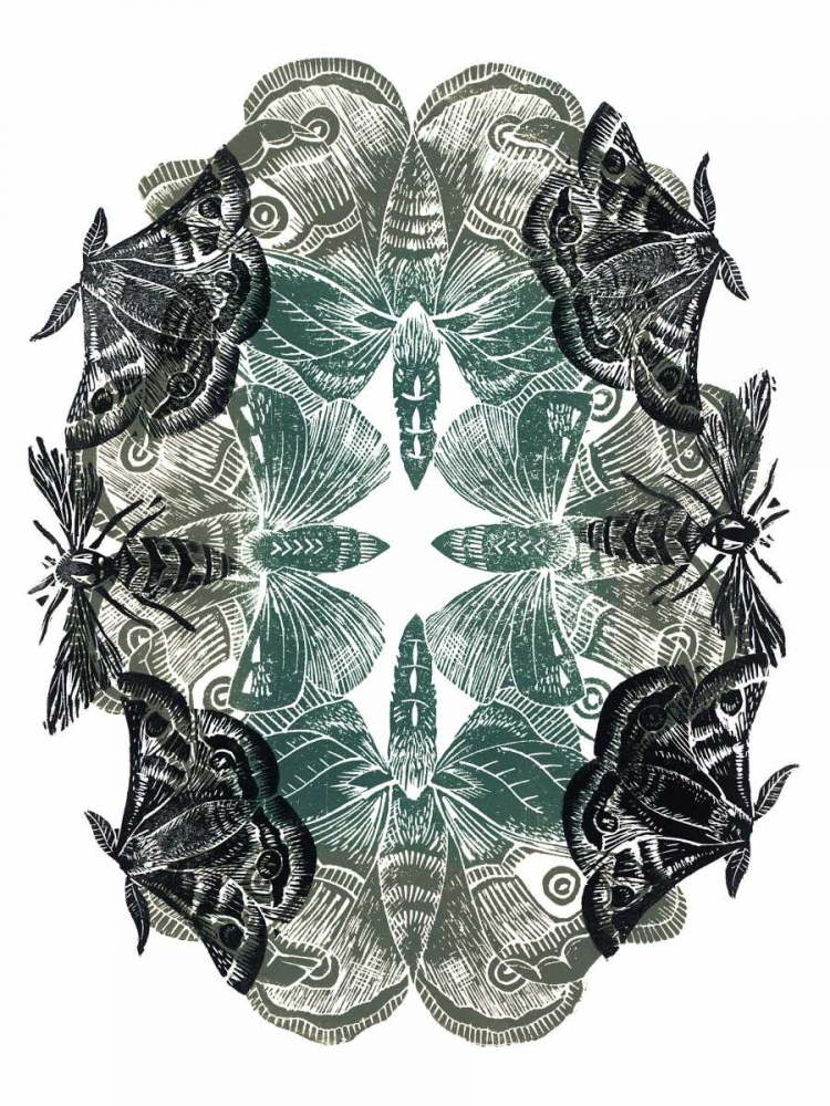 Moths art print by Amanda Colville for $57.95 CAD