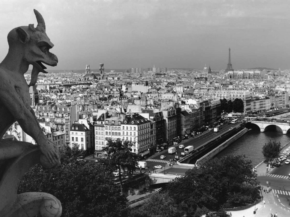View from Notre-Dame, Paris art print by Heiko Lanio for $57.95 CAD
