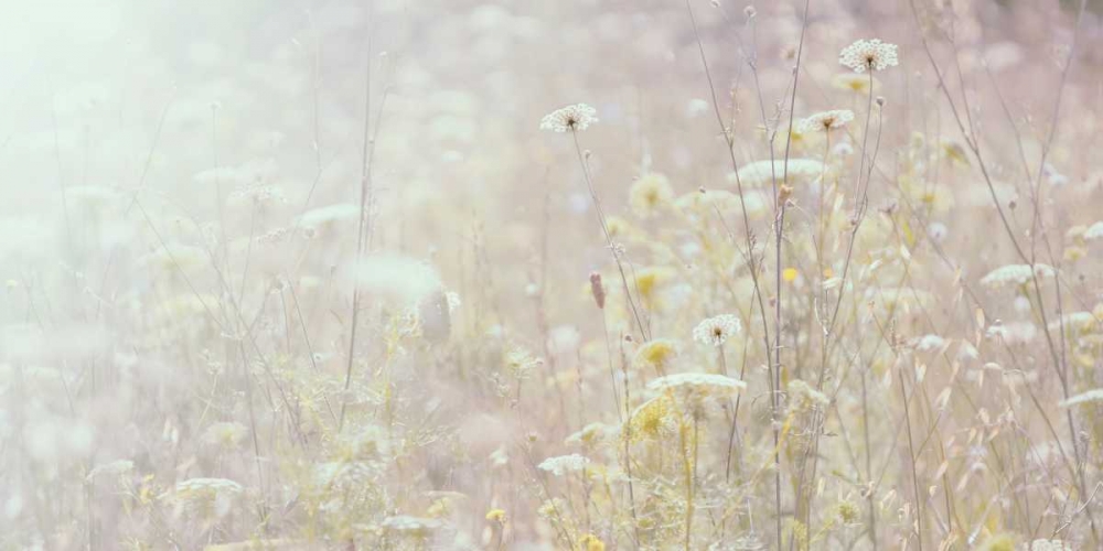 Summer Meadow art print by Ian Winstanley for $57.95 CAD