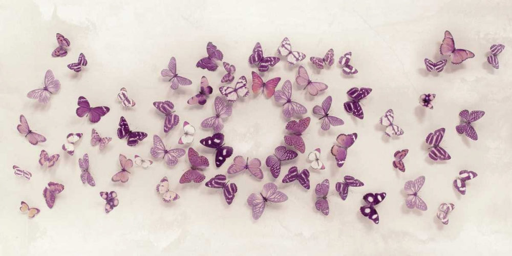 Kaleidoscope of Butterflies art print by Ian Winstanley for $57.95 CAD