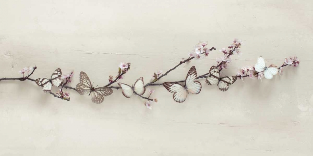 Butterflies on Blossom art print by Ian Winstanley for $57.95 CAD