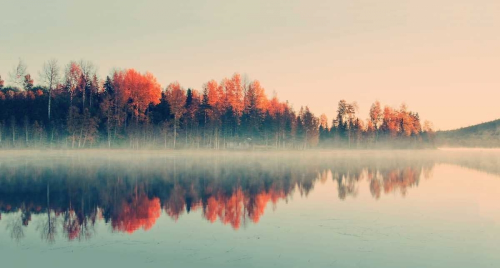Forest Reflections art print by Andreas Stridsberg for $57.95 CAD