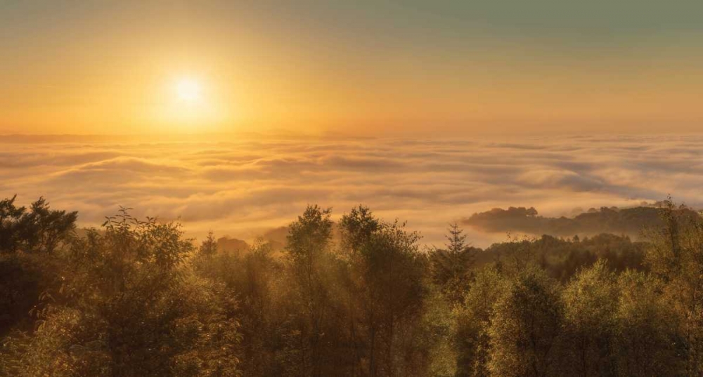 Mist over the River Exe-Devon-England art print by David Clapp for $57.95 CAD