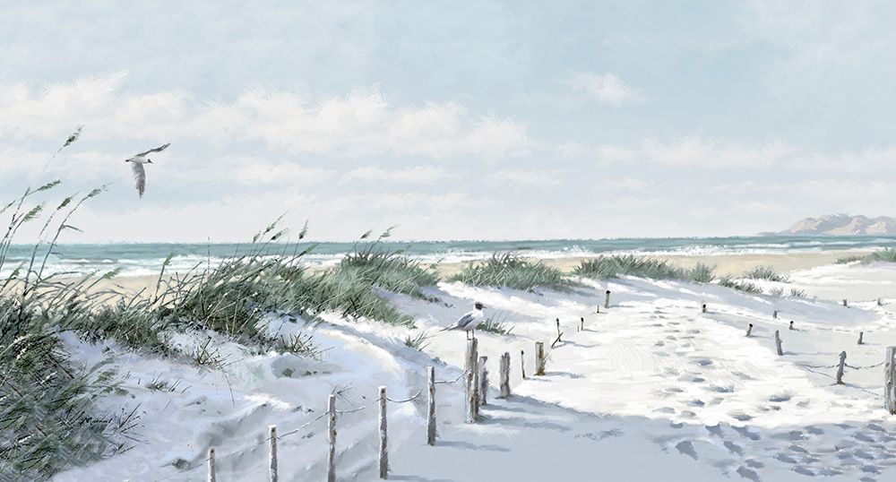 Footpath to the Beach art print by Richard Macneil for $57.95 CAD