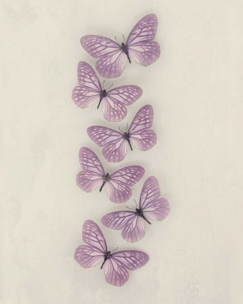 Lilac Butterflies art print by Ian Winstanley for $57.95 CAD