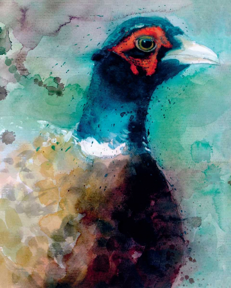 Male Pheasant art print by Simon Howden for $57.95 CAD
