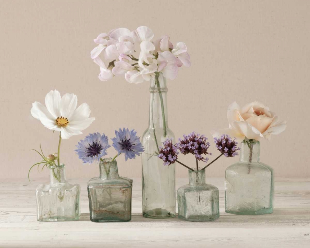 Flower Collection II art print by Ian Winstanley for $57.95 CAD