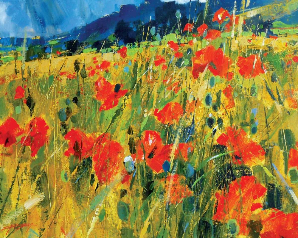 South Downs Poppies art print by Chris Forsey for $57.95 CAD