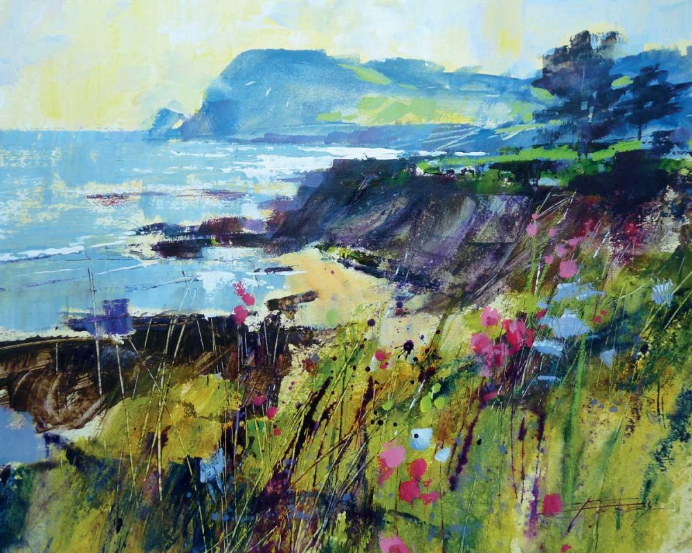 Getting to the Point, Prawle art print by Chris Forsey for $57.95 CAD
