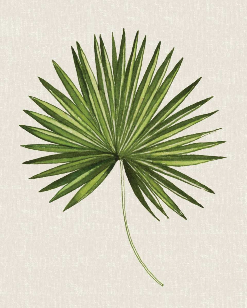Tropical Leaf III art print by Summer Thornton for $57.95 CAD