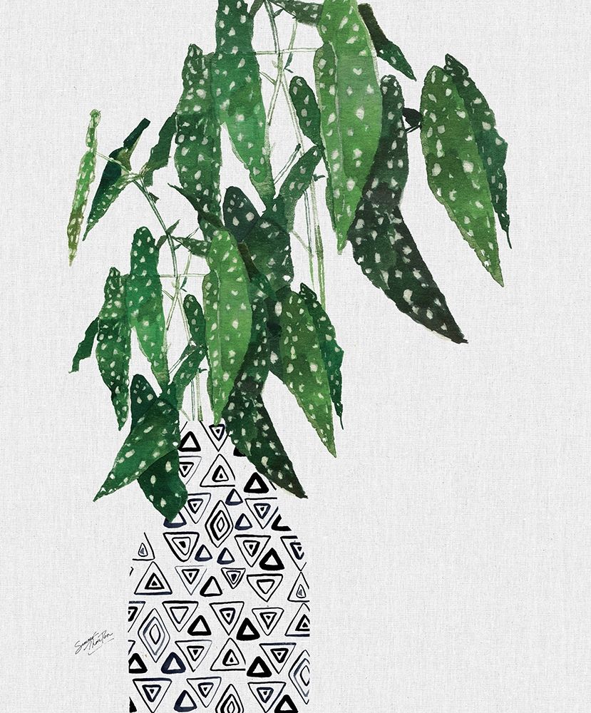 Polka Dot Begonia Plant art print by Summer Thornton for $57.95 CAD