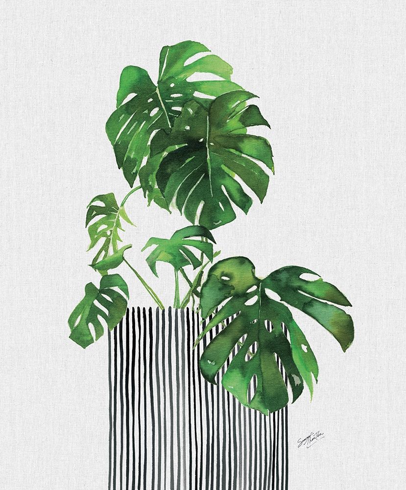 Swiss Cheese Plant art print by Summer Thornton for $57.95 CAD