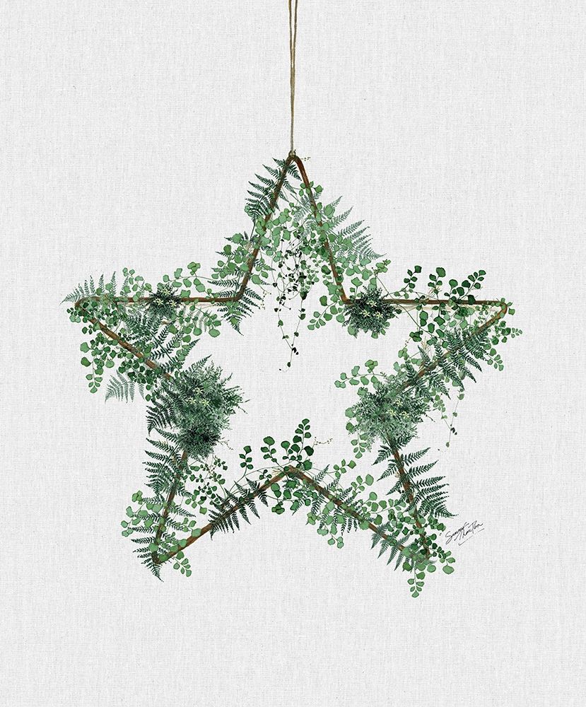 Fern Star art print by Summer Thornton for $57.95 CAD