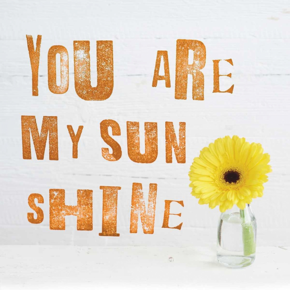 You Are My Sun Shine art print by Howard Shooter for $57.95 CAD