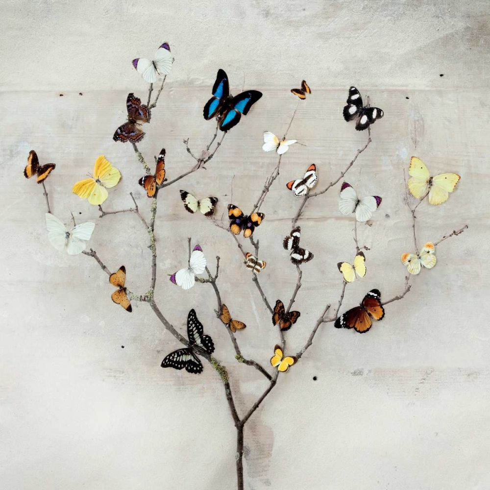 Tree of Butterflies art print by Ian Winstanley for $57.95 CAD