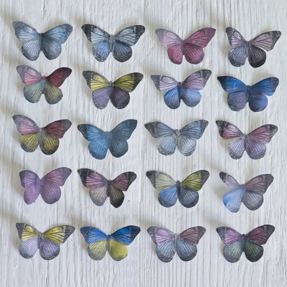 Butterfly Grid art print by Howard Shooter for $57.95 CAD