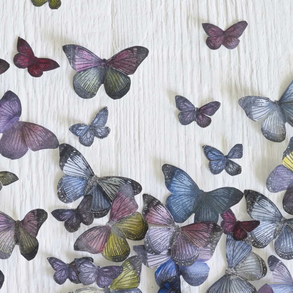 Butterfly Random art print by Howard Shooter for $57.95 CAD