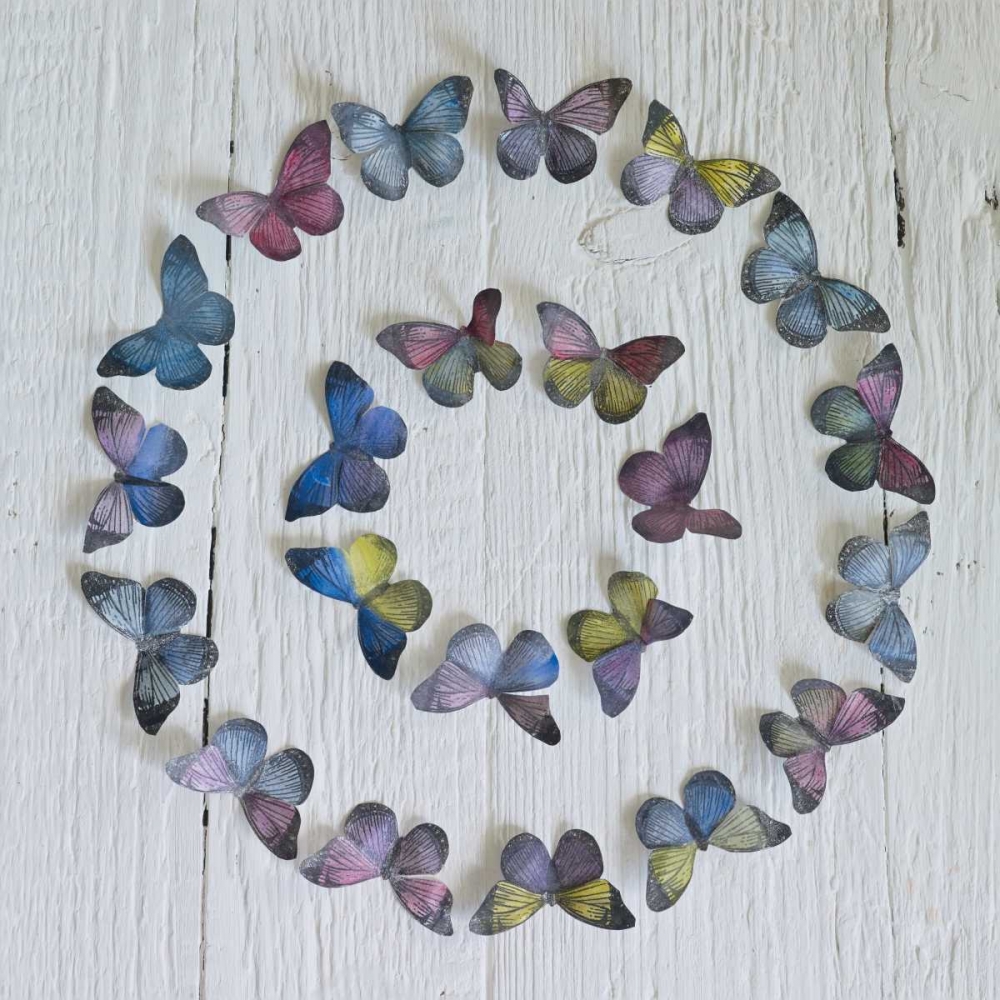 Butterfly Circle art print by Howard Shooter for $57.95 CAD